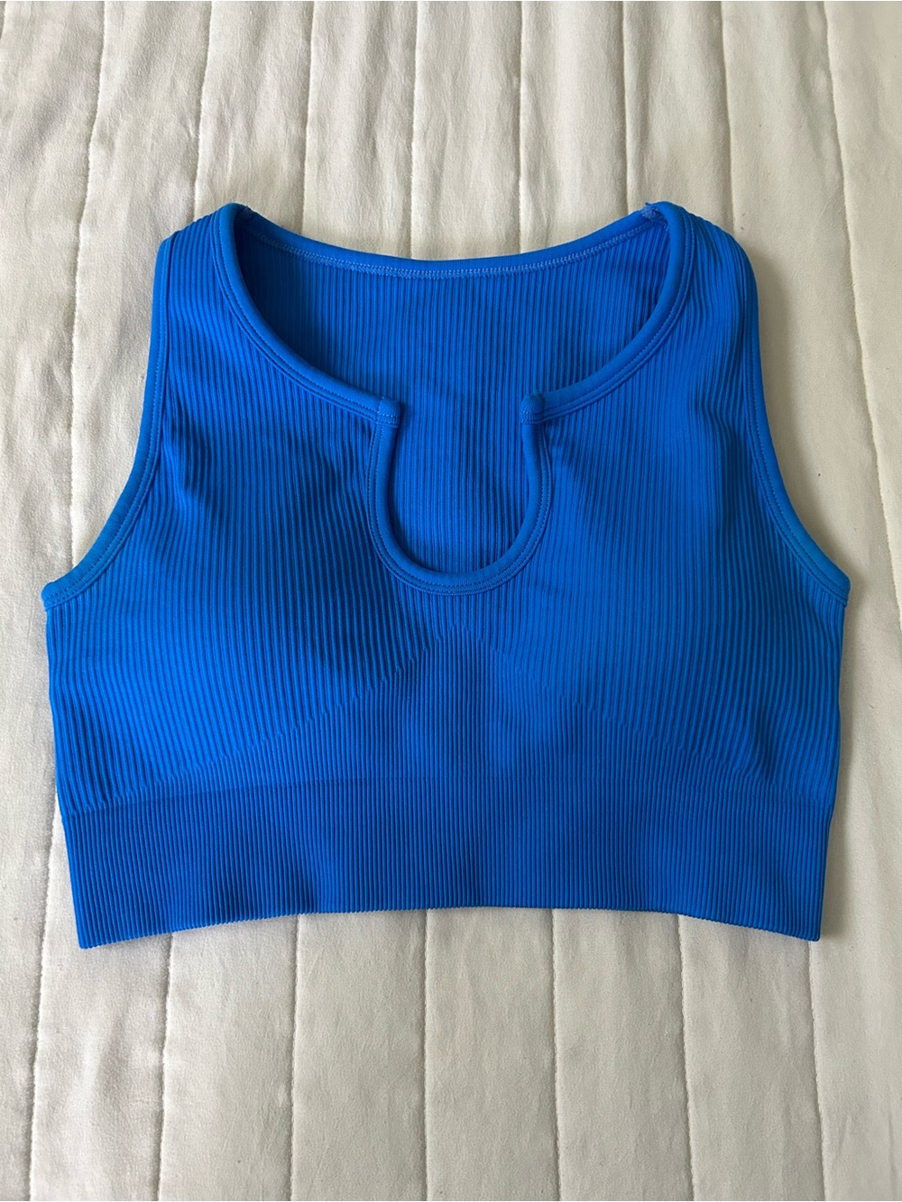 Blue Ribbed Cropped Tank